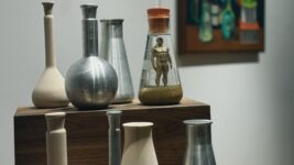 Vernissage de l'exposition HOMEGROWN