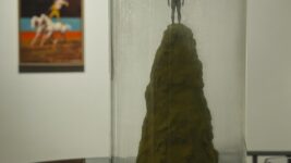 Vernissage de l'exposition HOMEGROWN